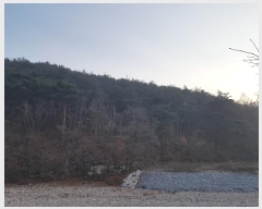  2025Ÿ��10060 ��� û�۱� ��õ�� ������ ��77      ����(�Ӿ�)���