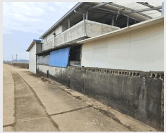  2025Ÿ��10126  �������