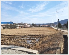  2025Ÿ��10128 ��� û�۱� ������ ���̸� 597-3      ����(��)���