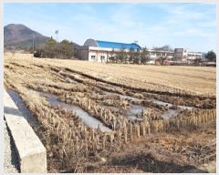  2025Ÿ��10128 ��� û�۱� ������ ���̸� 597-3      ����(��)���