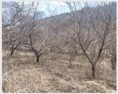  2025Ÿ��10130  ���������