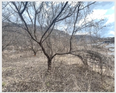  2025Ÿ��10130  ���������