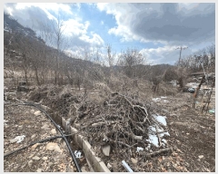  2025Ÿ��10130  ���������