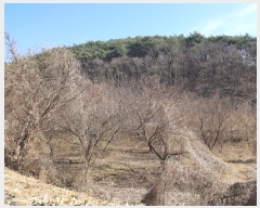  2025Ÿ��10130  ���������