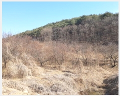  2025Ÿ��10130  ���������