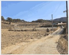  2025Ÿ��10136 �뱸 ������ ȿ�ɸ� ���� 130      ����(��1)���