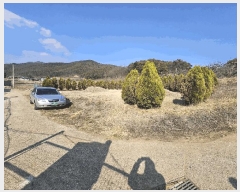  2025Ÿ��10136 �뱸 ������ ȿ�ɸ� ���� 130      ����(��1)���