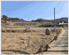  2025Ÿ��10136 �뱸 ������ ȿ�ɸ� ���� 130      ����(��1)���