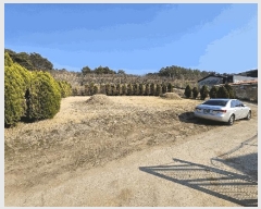  2025Ÿ��10136 �뱸 ������ ȿ�ɸ� ���� 130      ����(��1)���