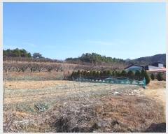  2025Ÿ��10136 �뱸 ������ ȿ�ɸ� ���� 130      ����(��1)���