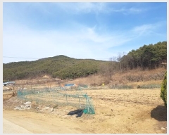  2025Ÿ��10136 �뱸 ������ ȿ�ɸ� ���� 130      ����(��1)���