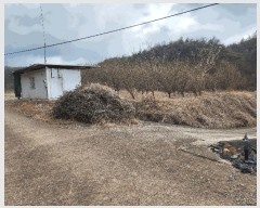  2025Ÿ��10138  �����