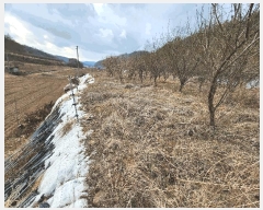  2025Ÿ��10138  �����