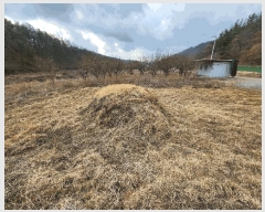  2025Ÿ��10138  �����