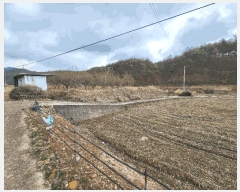  2025Ÿ��10138  �����