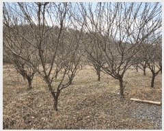  2025Ÿ��10138  �����