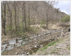  2025Ÿ��10140 ��� �Ǽ��� ����� ������ 666      ����(��1)���