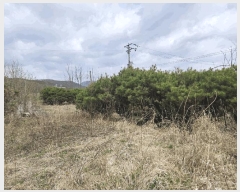  2025Ÿ��10144  �����