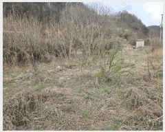  2025Ÿ��10144  �����