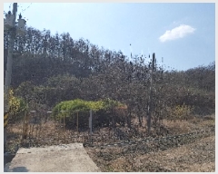  2025Ÿ��10144  �����