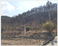  2025Ÿ��10144  �����