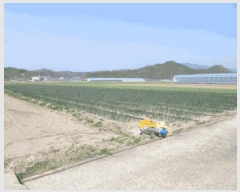  2025Ÿ��10156 �뱸 ������ ����� ������ 282      ����(��)���