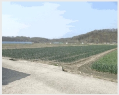  2025Ÿ��10156 �뱸 ������ ����� ������ 282      ����(��)���