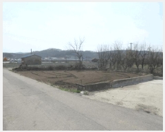  2025Ÿ��10156 �뱸 ������ ����� ������ 282      ����(��)���