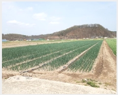  2025Ÿ��10156 �뱸 ������ ����� ������ 282      ����(��)���