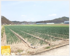  2025Ÿ��10156 �뱸 ������ ����� ������ 282      ����(��)���