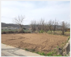  2025Ÿ��10156 �뱸 ������ ����� ������ 282      ����(��)���