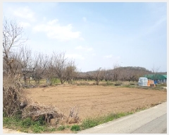  2025Ÿ��10156 �뱸 ������ ����� ������ 282      ����(��)���