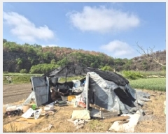  2025Ÿ��10172  ��õ���