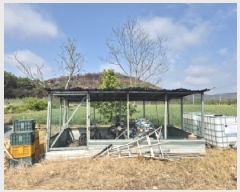  2025Ÿ��10172  ��õ���