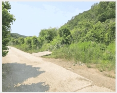  2025Ÿ��10174 ��� �Ǽ��� ���� �Ű��� 196-3      ����(��1)���