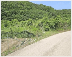  2025Ÿ��10174 ��� �Ǽ��� ���� �Ű��� 196-3      ����(��1)���