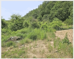  2025Ÿ��10174 ��� �Ǽ��� ���� �Ű��� 196-3      ����(��1)���