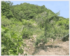  2025Ÿ��10174 ��� �Ǽ��� ���� �Ű��� 196-3      ����(��1)���