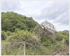  2025Ÿ��10174 ��� �Ǽ��� ���� �Ű��� 196-3      ����(��1)���