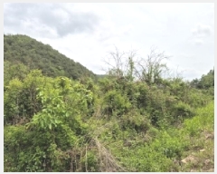  2025Ÿ��10174 ��� �Ǽ��� ���� �Ű��� 196-3      ����(��1)���