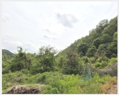  2025Ÿ��10174 ��� �Ǽ��� ���� �Ű��� 196-3      ����(��1)���