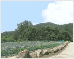 2025Ÿ��10184 �뱸 ������ �ﱹ����� ȭ�ϸ� ��233-5      ����(�Ӿ�)���