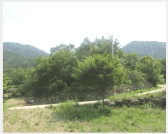  2025Ÿ��10184 �뱸 ������ �ﱹ����� ȭ�ϸ� ��233-5      ����(�Ӿ�)���