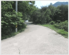  2025Ÿ��10184 �뱸 ������ �ﱹ����� ȭ�ϸ� ��233-5      ����(�Ӿ�)���