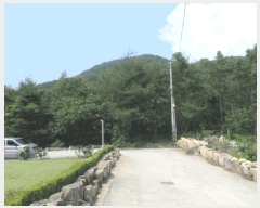  2025Ÿ��10184 �뱸 ������ �ﱹ����� ȭ�ϸ� ��233-5      ����(�Ӿ�)���