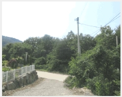  2025Ÿ��10184 �뱸 ������ �ﱹ����� ȭ�ϸ� ��233-5      ����(�Ӿ�)���