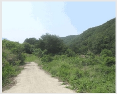  2025Ÿ��10184 �뱸 ������ �ﱹ����� ȭ�ϸ� ��233-5      ����(�Ӿ�)���