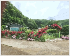  2025Ÿ��10192 �뱸 ������ �꼺�� ���ϸ� ��134      ����(�Ӿ�)���