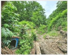  2025Ÿ��10192 �뱸 ������ �꼺�� ���ϸ� ��134      ����(�Ӿ�)���