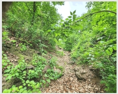  2025Ÿ��10192 �뱸 ������ �꼺�� ���ϸ� ��134      ����(�Ӿ�)���